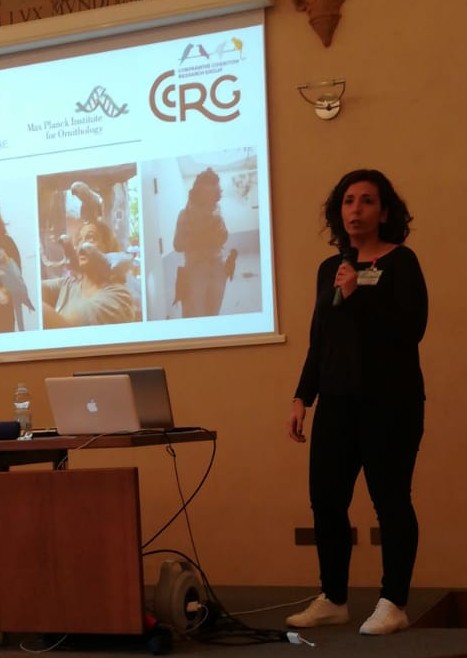 Workshops and Talks