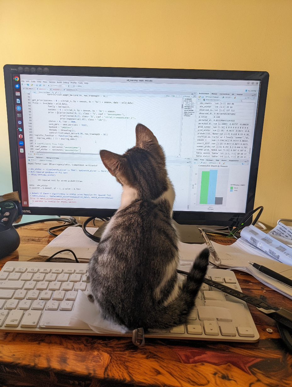 Datasets