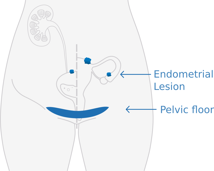 Closeread cheatsheet illustration